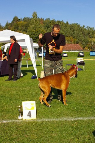 www.boxer-show.eu